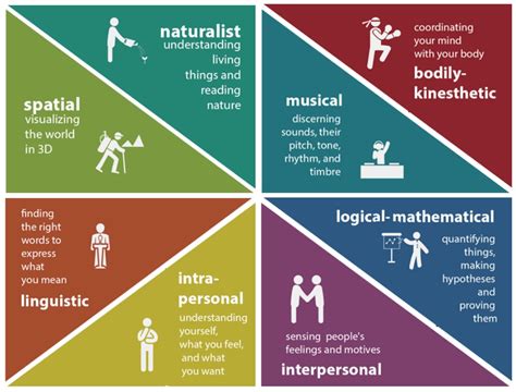 intelligences suggested by howard gardner